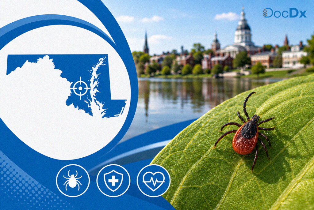Lyme Disease
